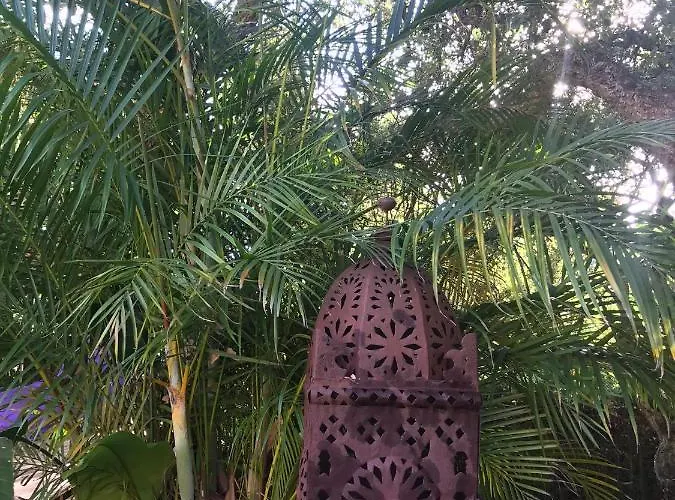 Bed and breakfast La Dulcinea 4*
